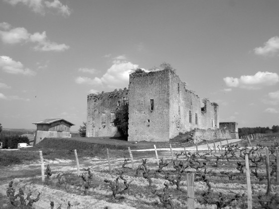 Photo Château de Fargues