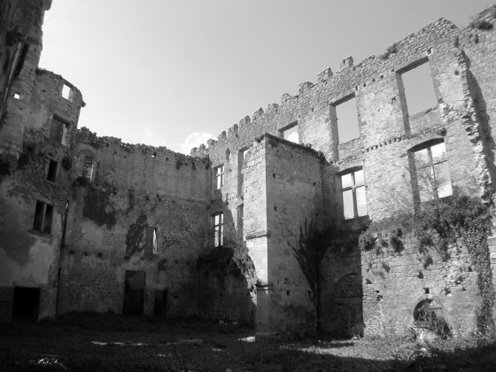 Photo Château de Fargues